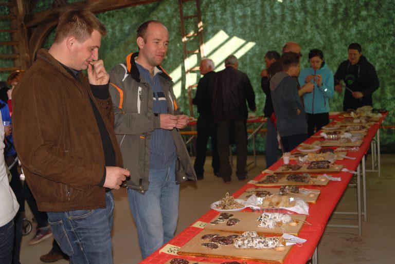 Prvo leto društva · 2015