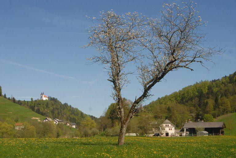 Salamijada na Visokem · april 2018